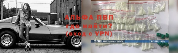 дмт Новокубанск
