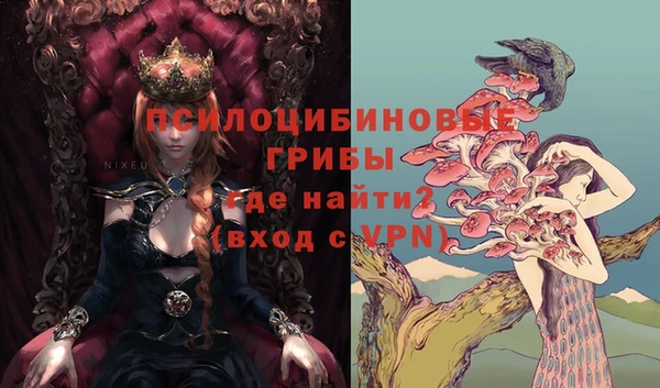 прущие крисы Новозыбков