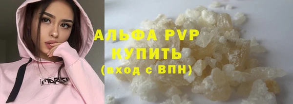 прущие крисы Новозыбков
