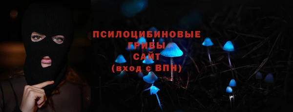 мдпв Новодвинск
