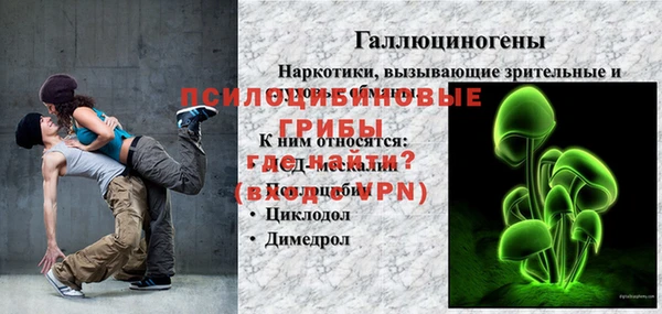 прущие крисы Новозыбков