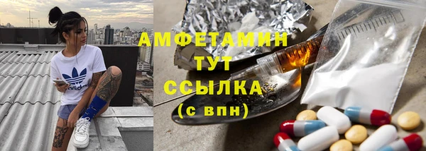 прущие крисы Новозыбков