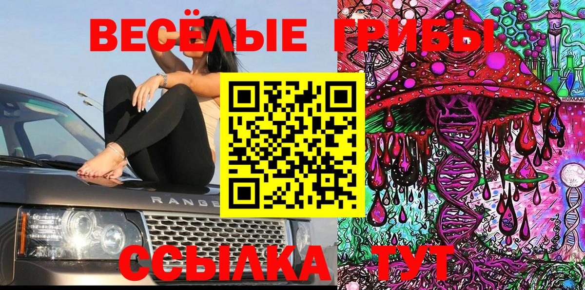 Новотроицк  Псилоцибиновые грибы Magic Shrooms  Вход с VPN 